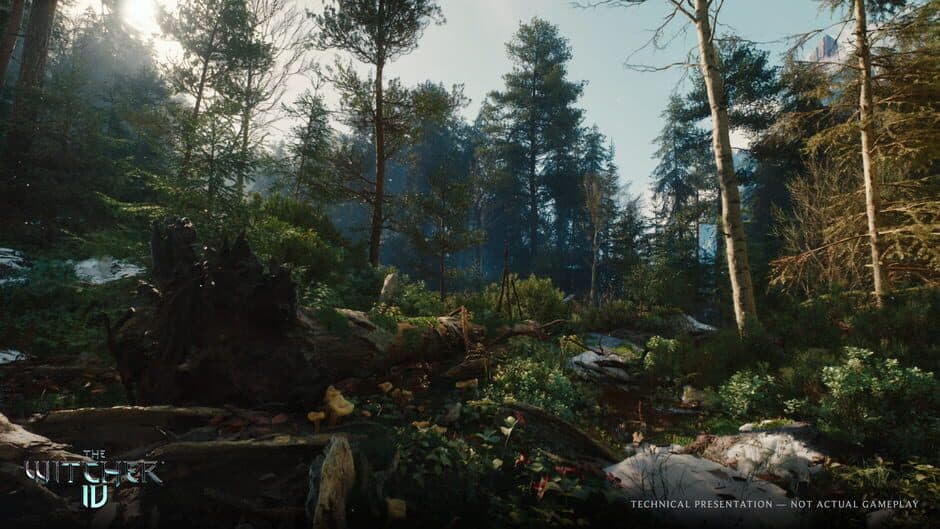 Скриншот 6 из The Witcher IV
