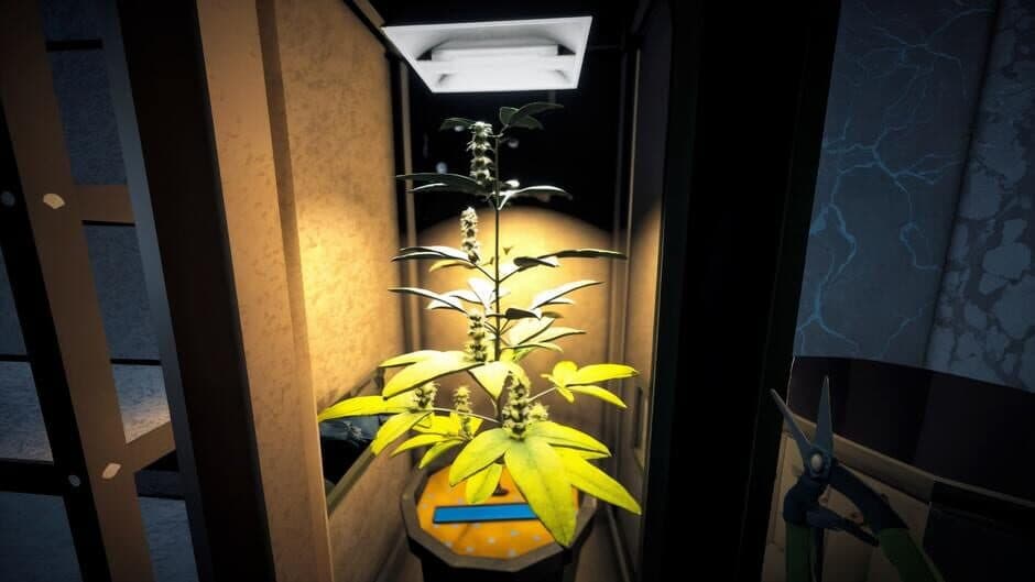 Скриншот 1 из Weed Syndicate Empire