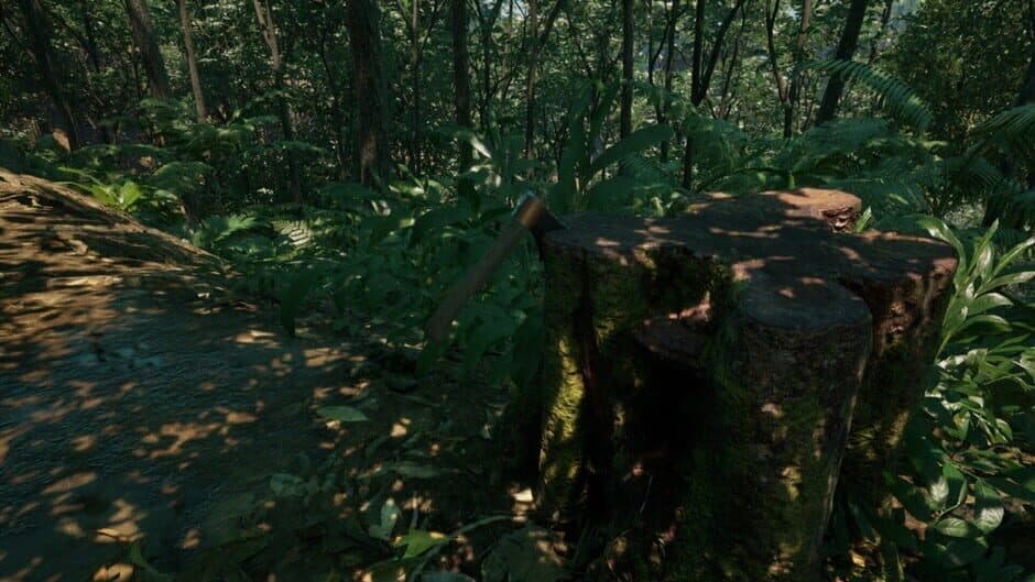 Скриншот 4 из Bandeirantes: The Game.