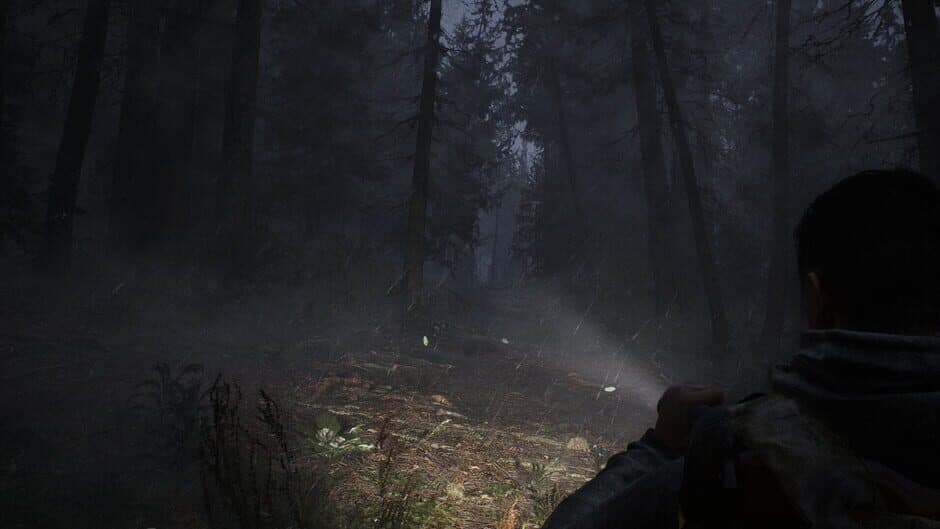 Скриншот 7 из Whispers in the Fog