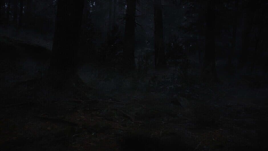Скриншот 1 из Whispers in the Fog