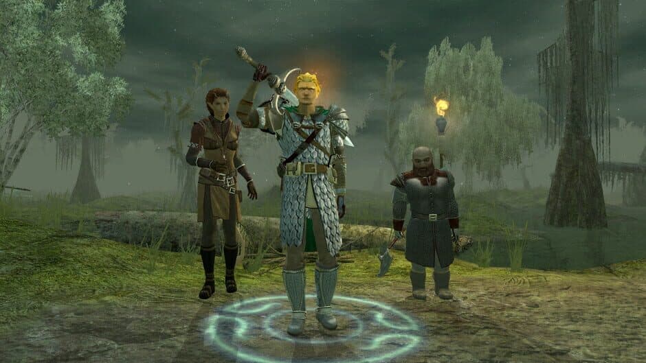 Скриншот 6 из Dungeons & Dragons Neverwinter Nights 2: Enhanced Edition