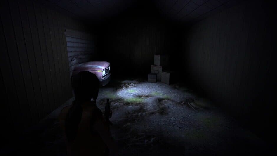 Скриншот 4 из Phantom House