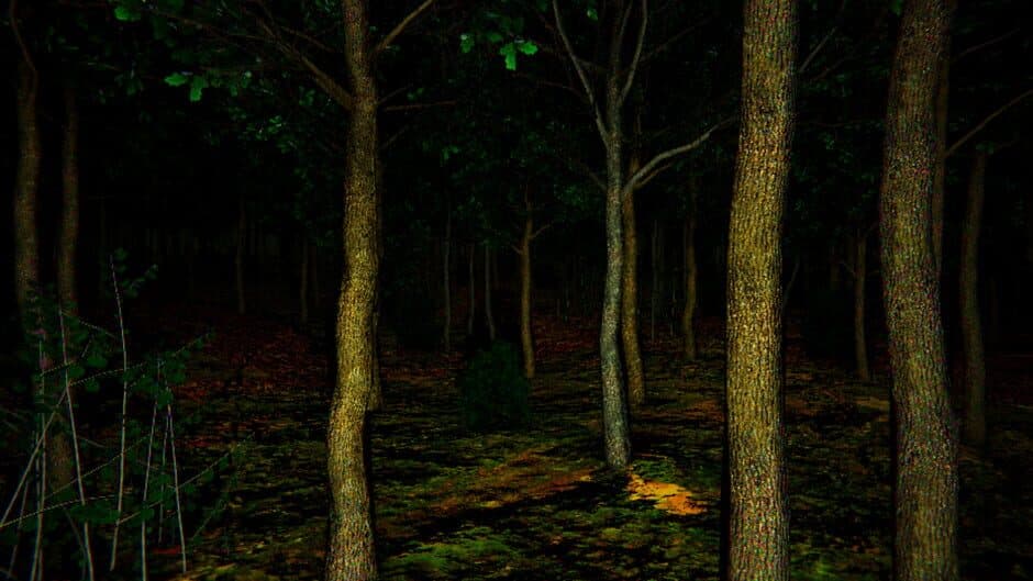 Скриншот 9 из The Death Forest