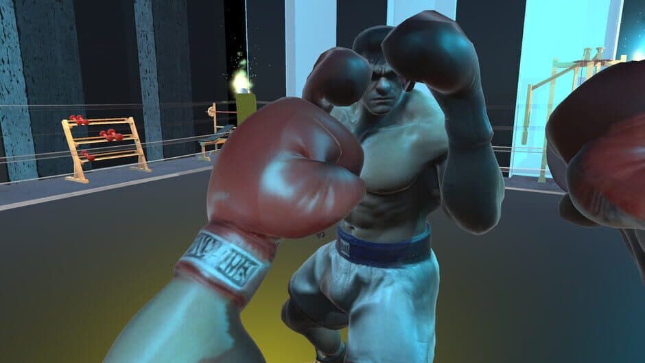 Скриншот 2 из Shuruka Boxing