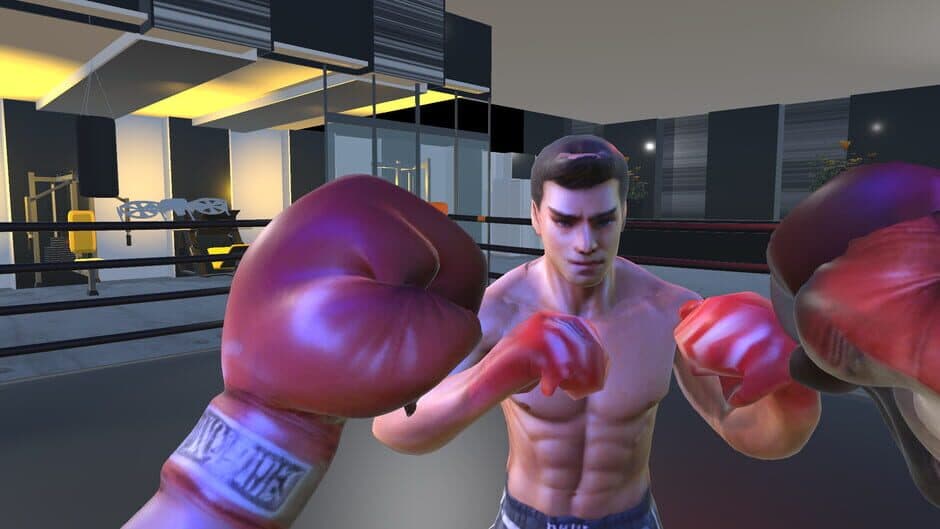 Скриншот 4 из Shuruka Boxing