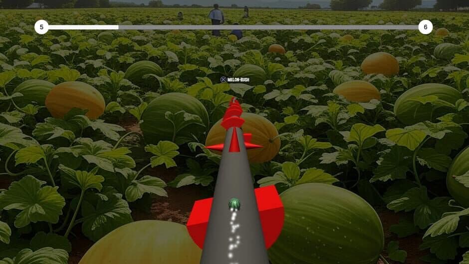 Скриншот 5 из The Jumping Melon Rush 2