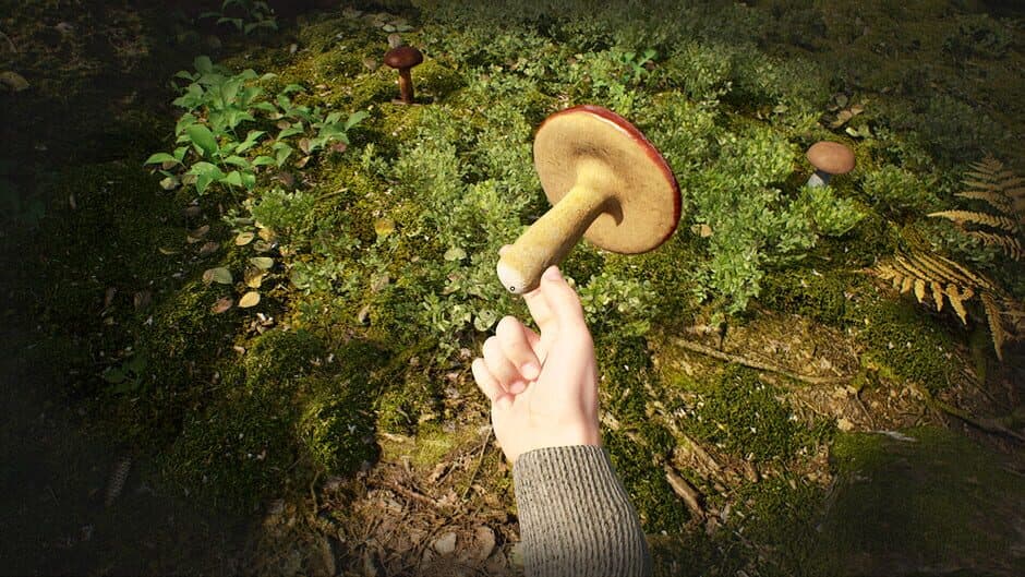 Скриншот 1 из Mushroom Hunter Simulator