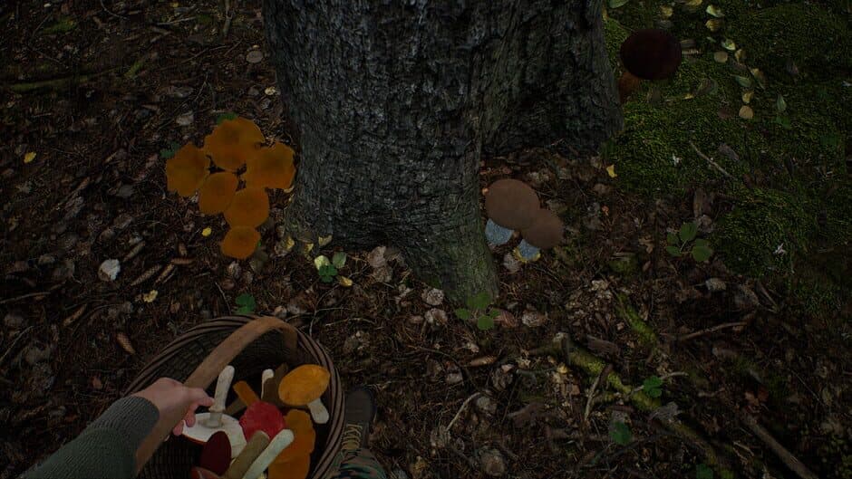 Скриншот 3 из Mushroom Hunter Simulator