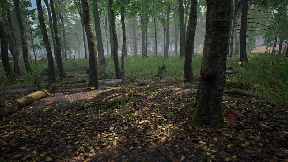 Скриншот 7 из Mushroom Hunter Simulator