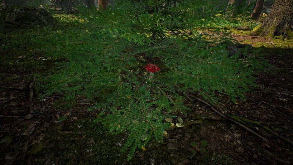 Скриншот 8 из Mushroom Hunter Simulator