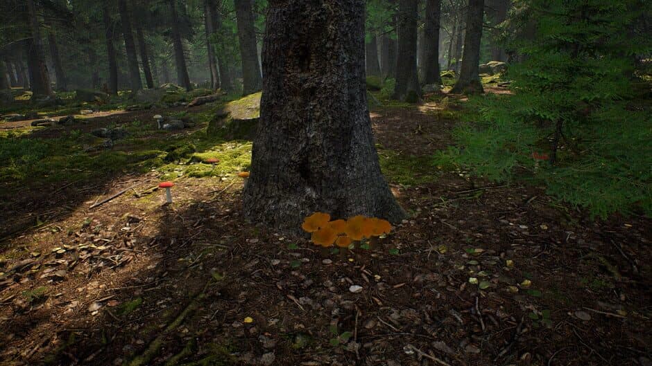 Скриншот 4 из Mushroom Hunter Simulator
