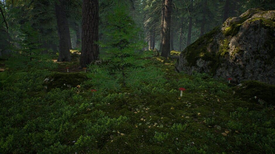 Скриншот 10 из Mushroom Hunter Simulator