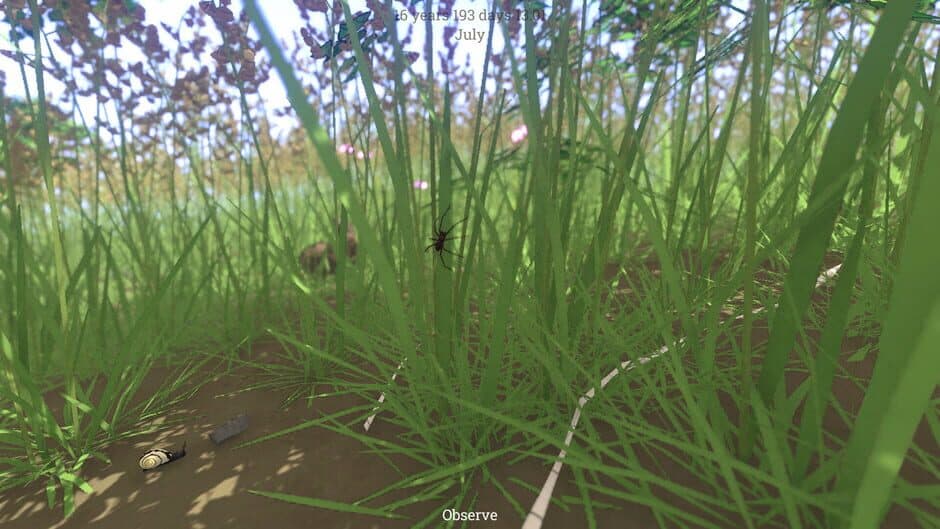 Скриншот 5 из Grow Wild