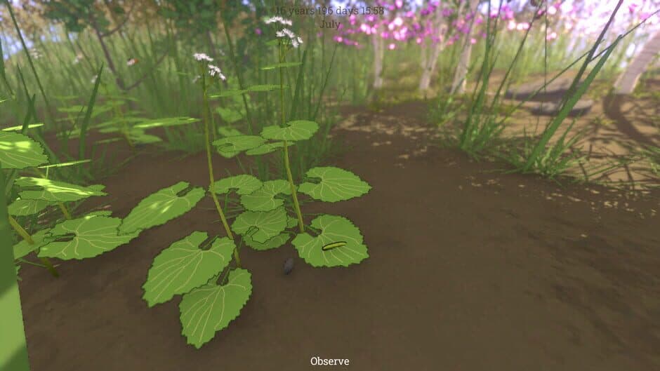 Скриншот 11 из Grow Wild