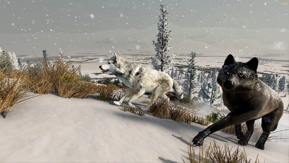 Скриншот 8 из WolfQuest: Anniversary Edition