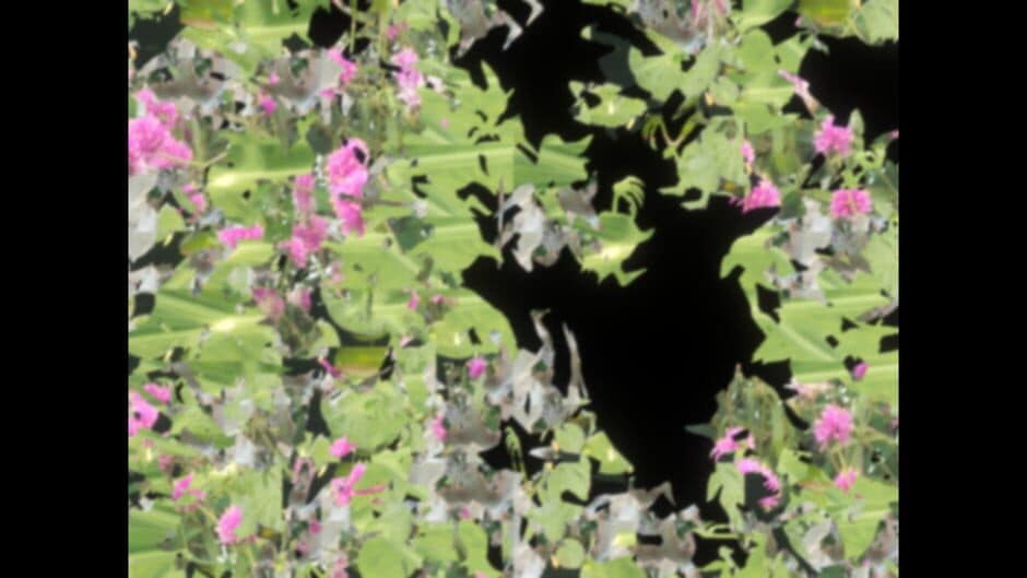 Скриншот 2 из Floral Gutter