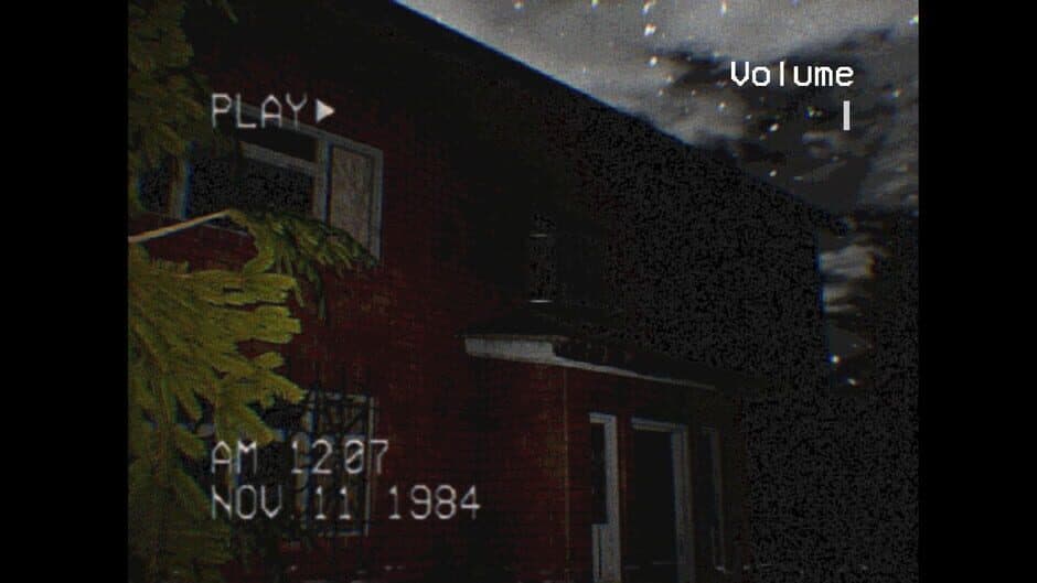 Скриншот 5 из The Silent Witness
