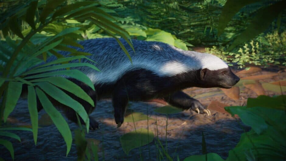 Скриншот 1 из Planet Zoo: Asia Animal Pack