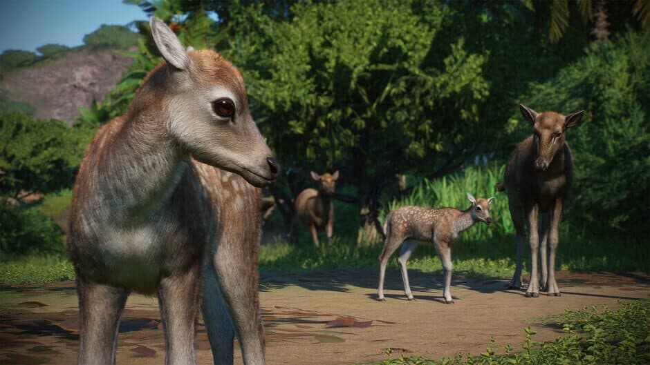 Скриншот 3 из Planet Zoo: Asia Animal Pack