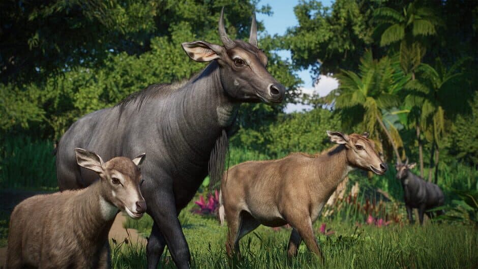 Скриншот 7 из Planet Zoo: Asia Animal Pack