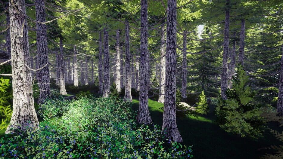 Скриншот 3 из Finnish Forest