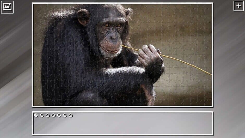 Скриншот 2 из Super Jigsaw Puzzle: Generations - Monkeys & Apes Puzzles