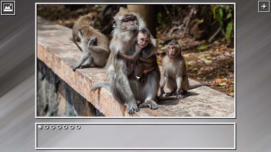 Скриншот 5 из Super Jigsaw Puzzle: Generations - Monkeys & Apes Puzzles