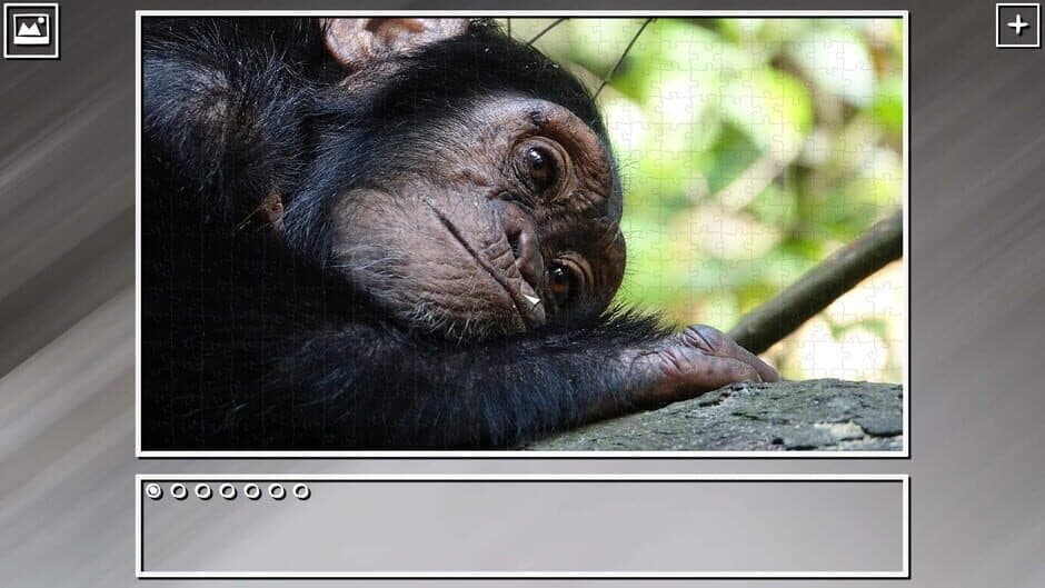 Скриншот 6 из Super Jigsaw Puzzle: Generations - Monkeys & Apes Puzzles
