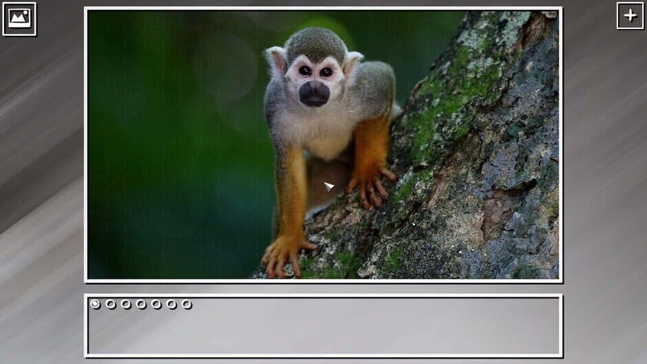 Скриншот 7 из Super Jigsaw Puzzle: Generations - Monkeys & Apes Puzzles