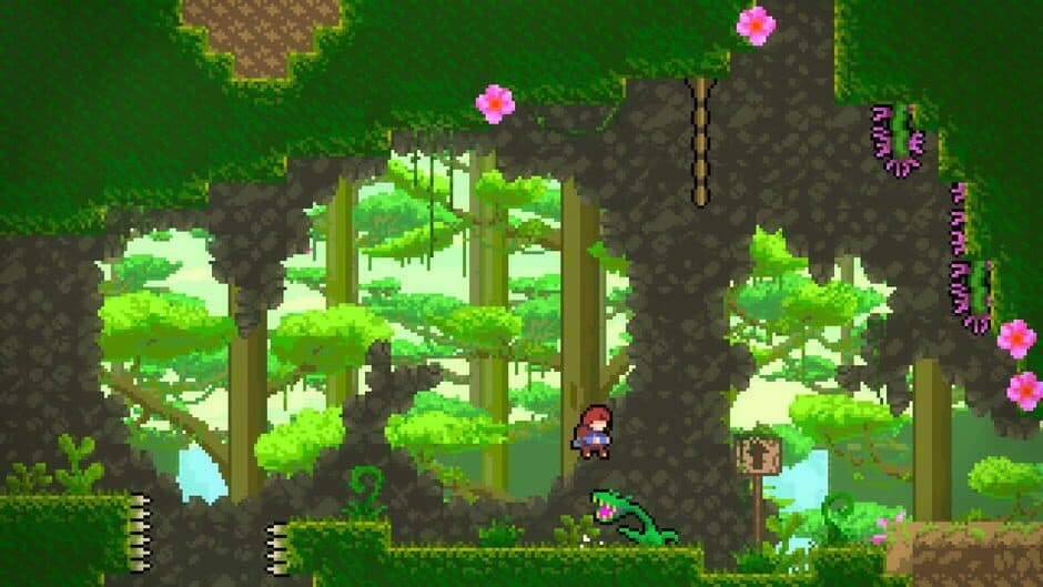 Скриншот 1 из Celeste: Into The Jungle