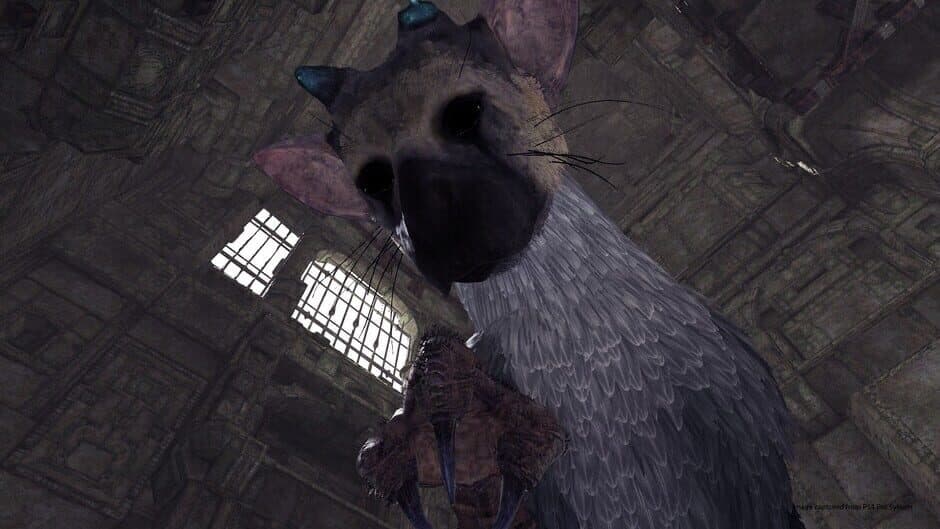 Скриншот 2 из The Last Guardian VR