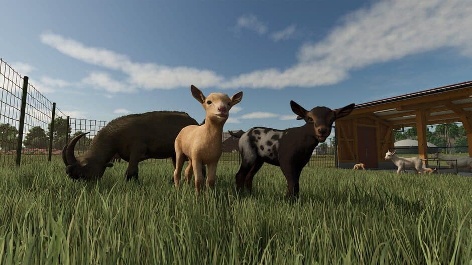Скриншот 3 из Farming Simulator 25: Highlands Fishing Edition