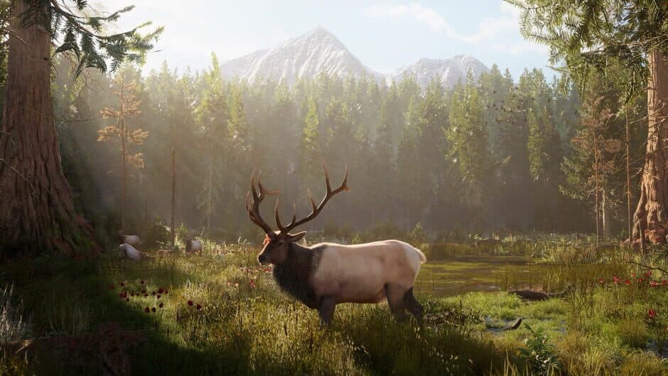 Скриншот 3 из Ultimate Hunting