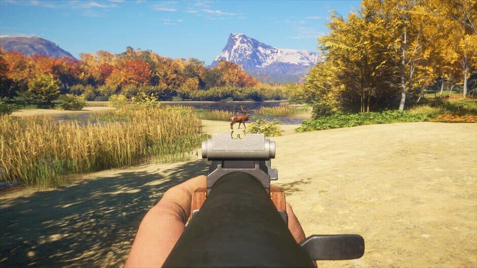 Скриншот 1 из TheHunter: Call of the Wild - Rapid Hunt Rifle Pack