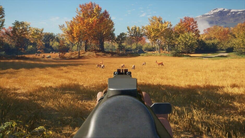 Скриншот 2 из TheHunter: Call of the Wild - Rapid Hunt Rifle Pack