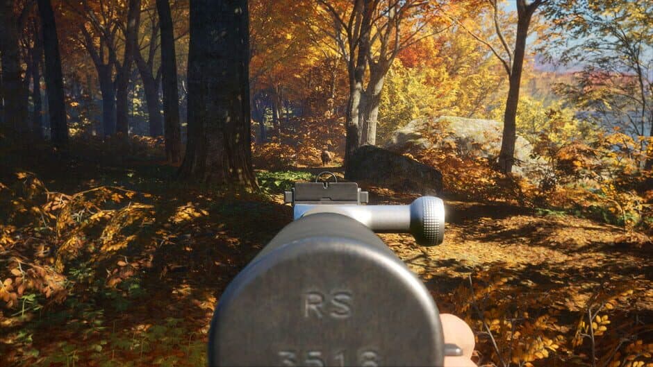 Скриншот 7 из TheHunter: Call of the Wild - Rapid Hunt Rifle Pack