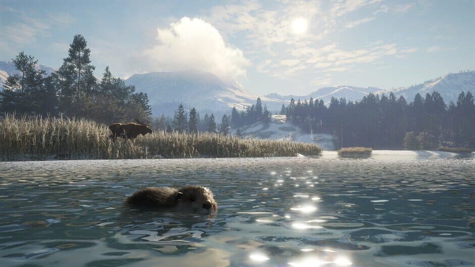 Скриншот 4 из TheHunter: Call of the Wild - Alberta Hunting Preserve