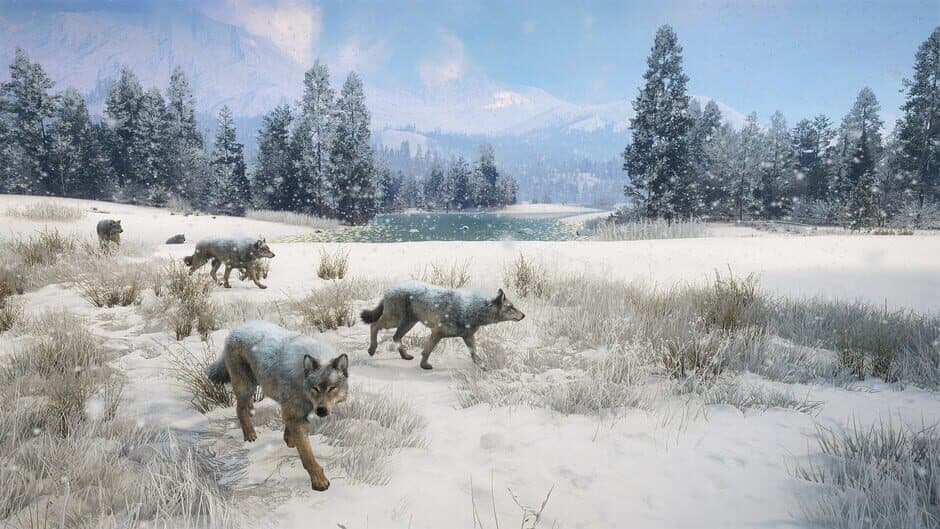 Скриншот 6 из TheHunter: Call of the Wild - Alberta Hunting Preserve