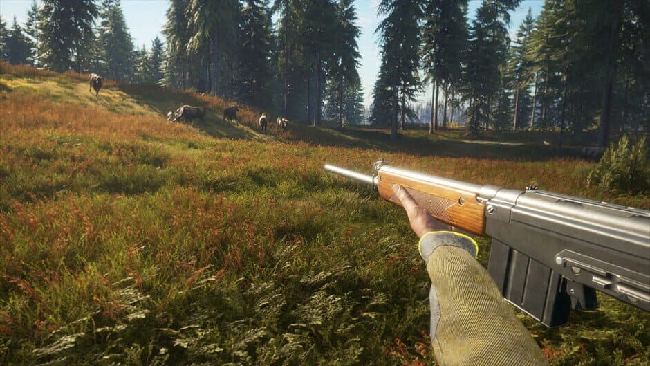 Скриншот 6 из TheHunter: Call of the Wild - Rapid Hunt Rifle Pack