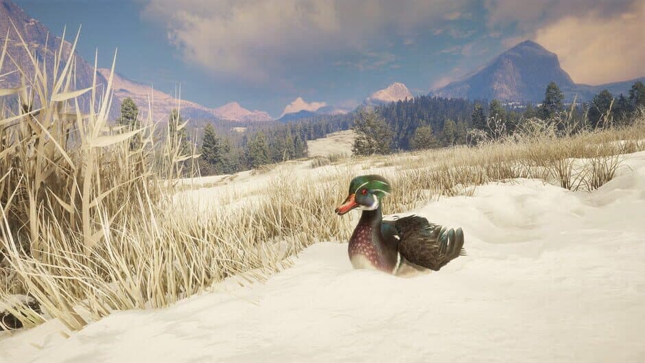 Скриншот 7 из TheHunter: Call of the Wild - Alberta Hunting Preserve