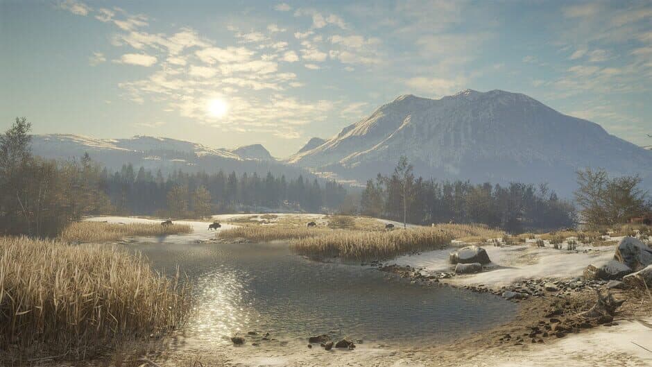 Скриншот 5 из TheHunter: Call of the Wild - Alberta Hunting Preserve