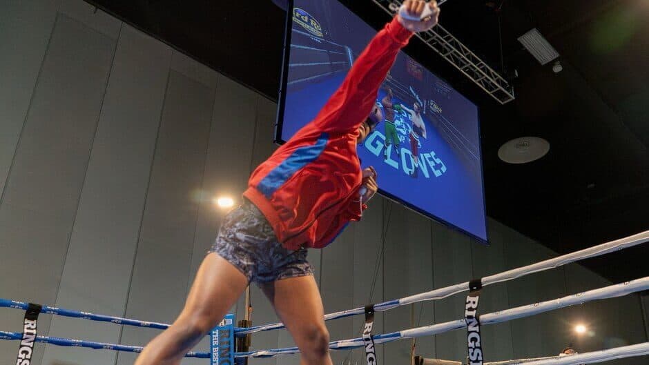 Скриншот 1 из Golden Gloves VR