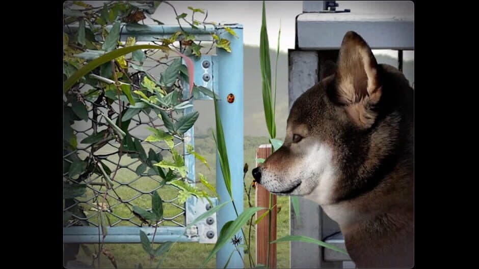 Скриншот 1 из Tsugunohi: Pocky Dog’s Adventure