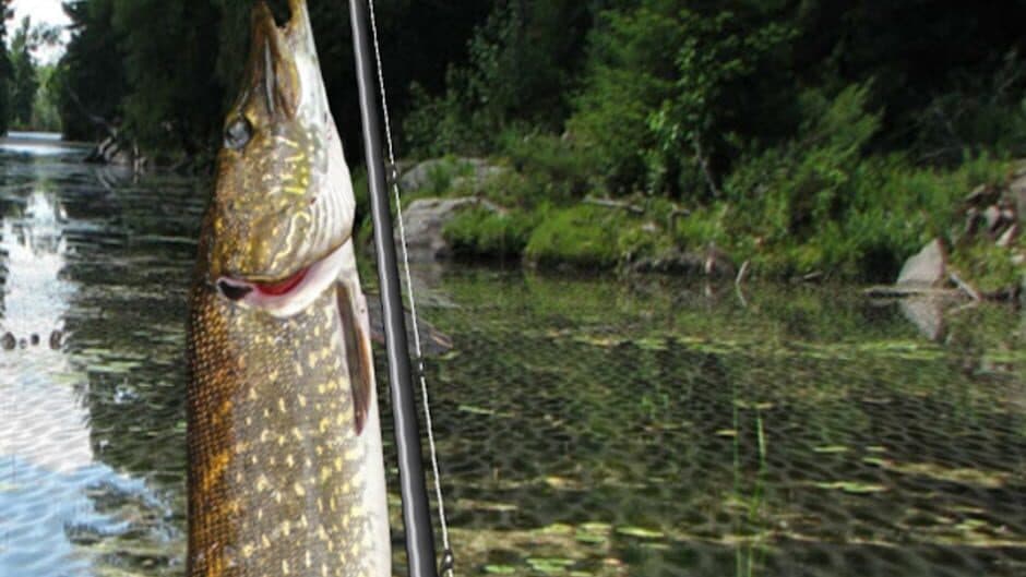 Скриншот 1 из iFishing