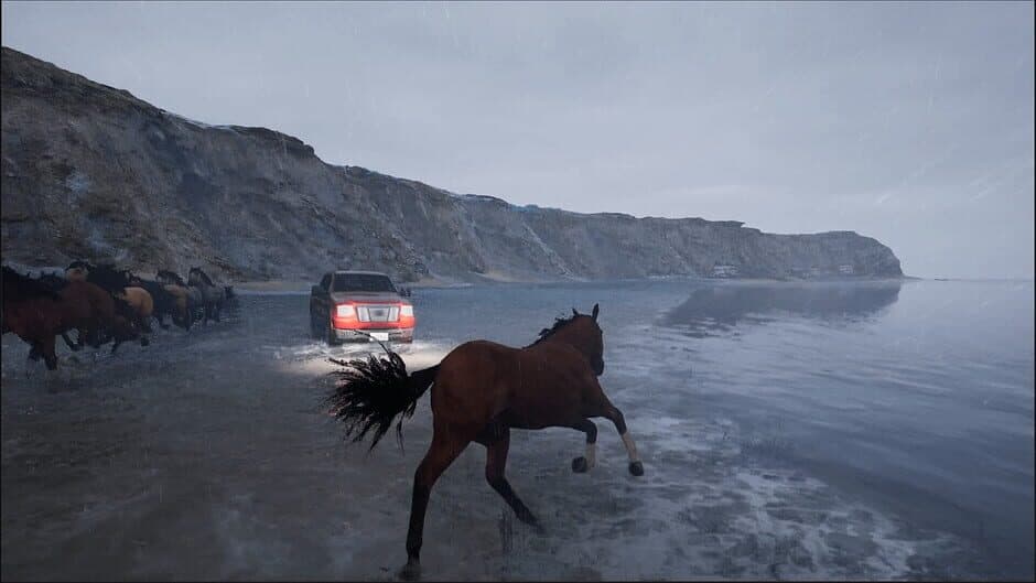 Скриншот 2 из Horse Evolutions