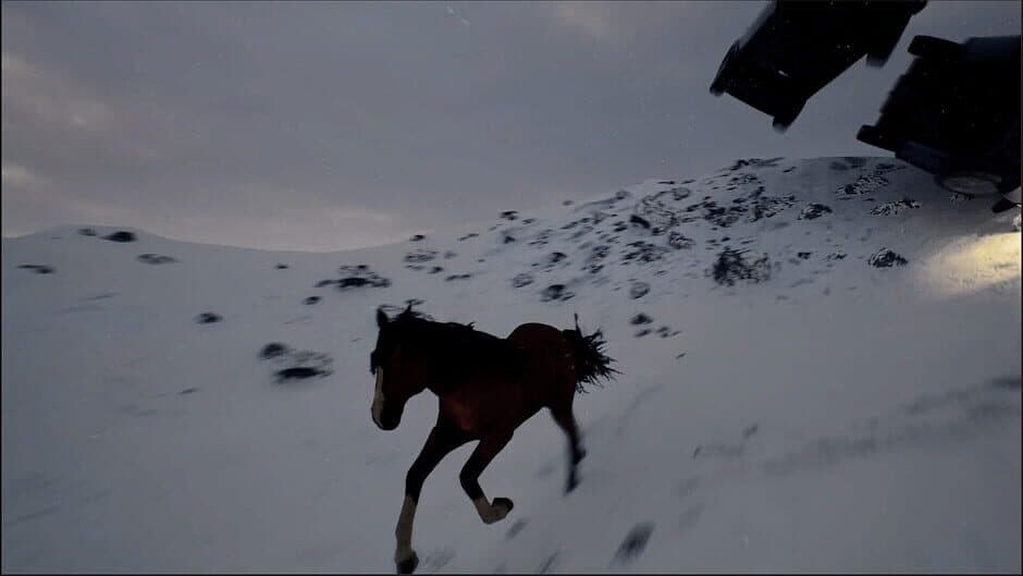 Скриншот 4 из Horse Evolutions