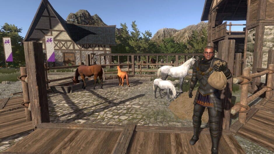 Скриншот 3 из Medieval Horse Dealer Simulator
