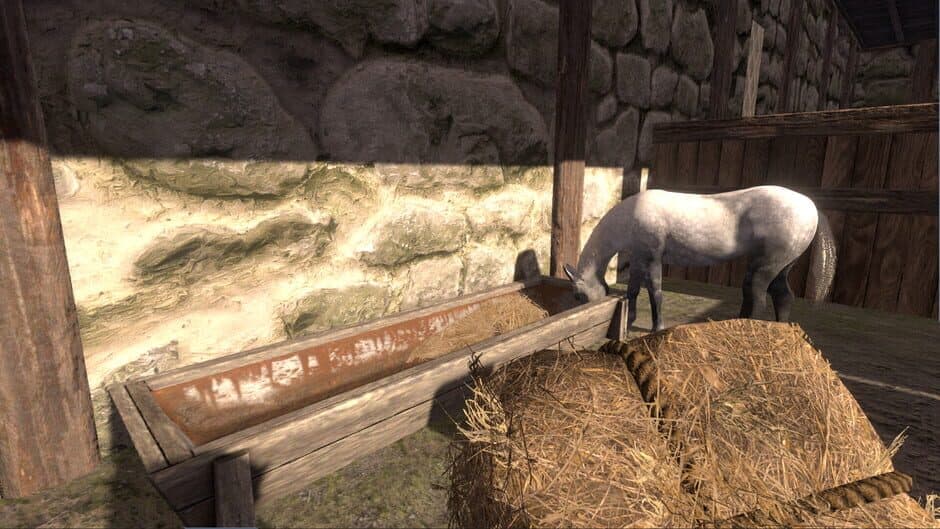 Скриншот 4 из Medieval Horse Dealer Simulator