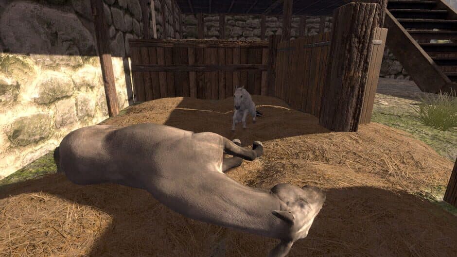 Скриншот 5 из Medieval Horse Dealer Simulator